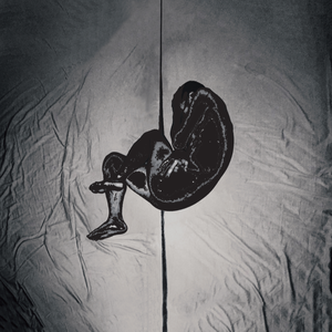 国产成人性生活av
